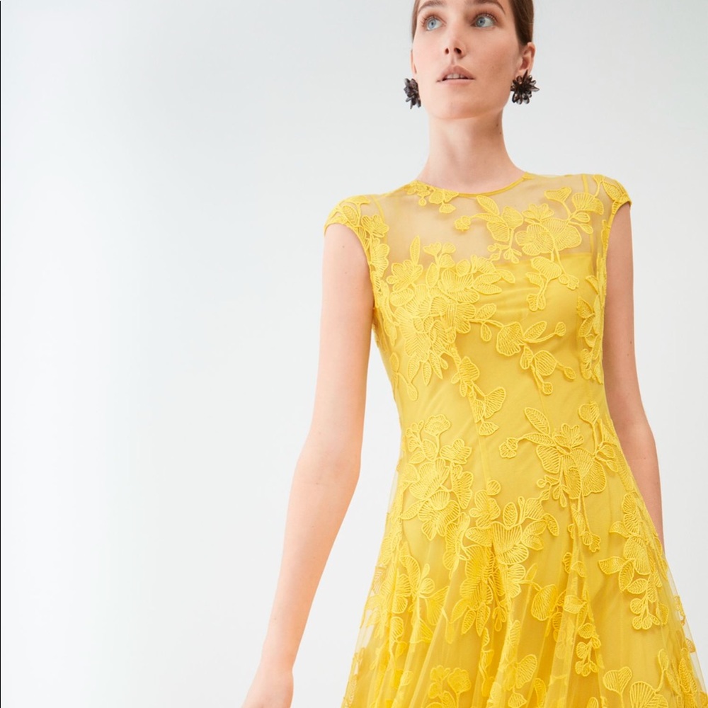 036. Carolina Herrera Runway Collection Gown